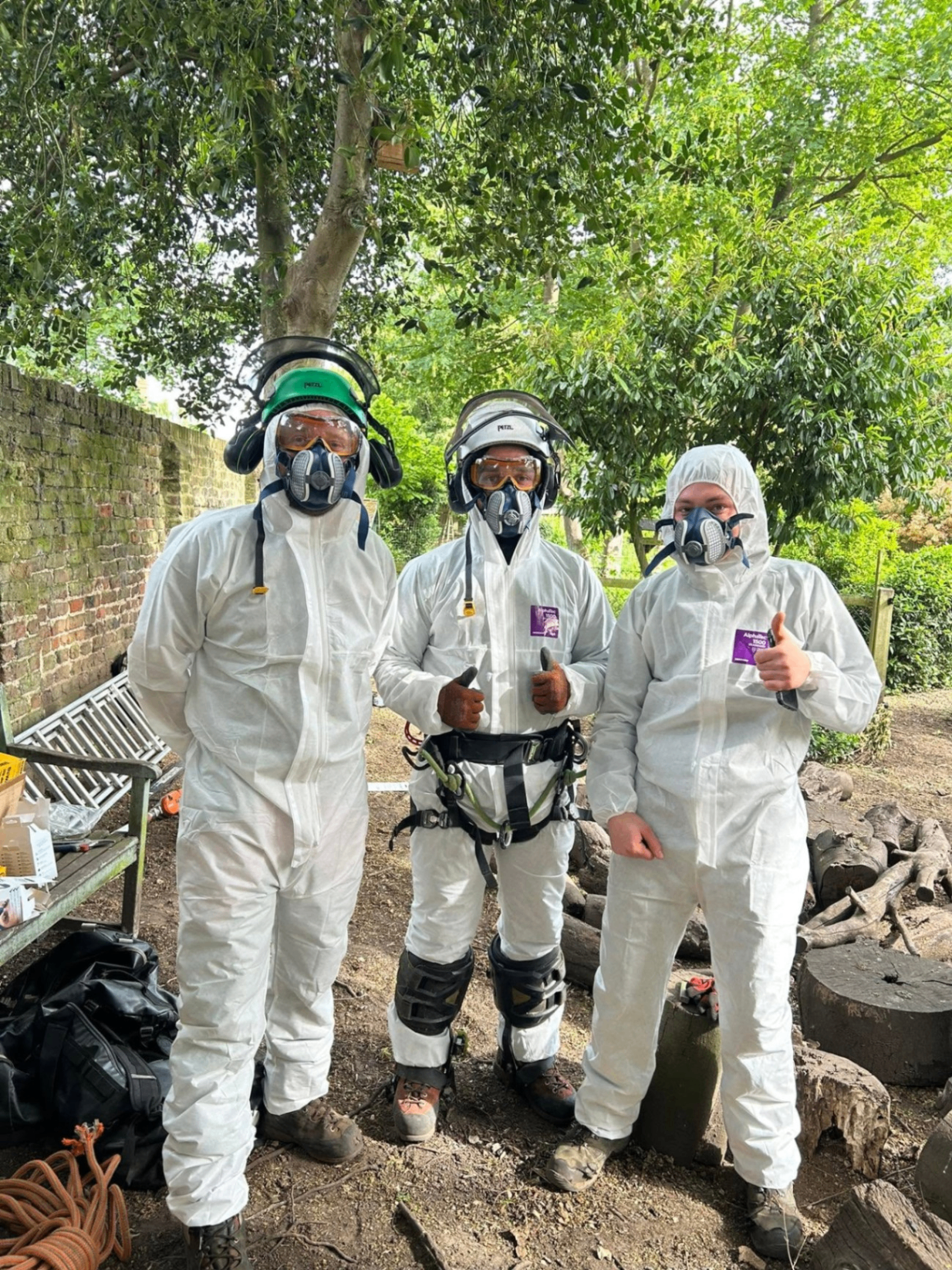 The Gildergreen Tree Surgery team in full safety gear on site near Bedford.