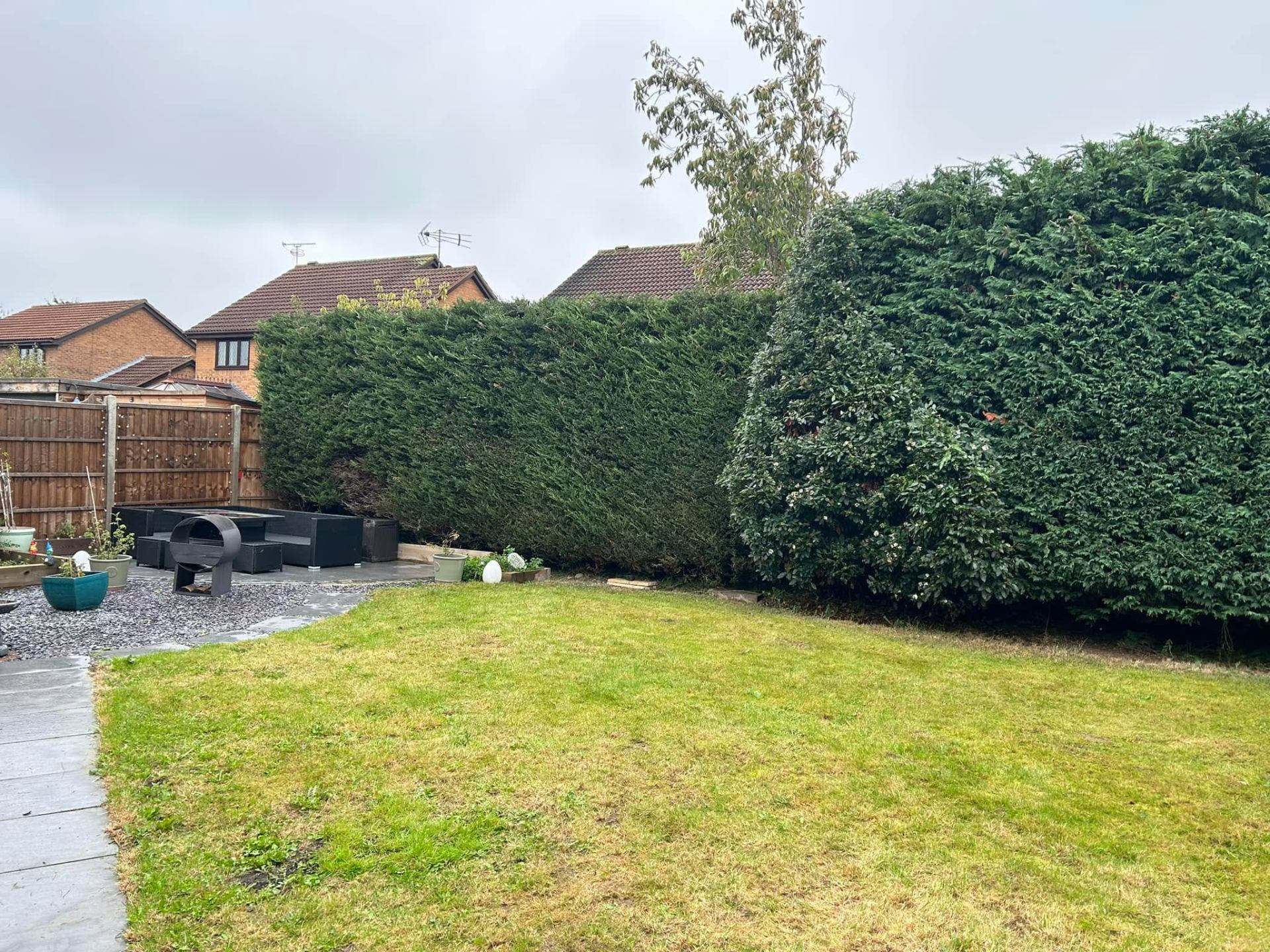 Before and after tree work — after
