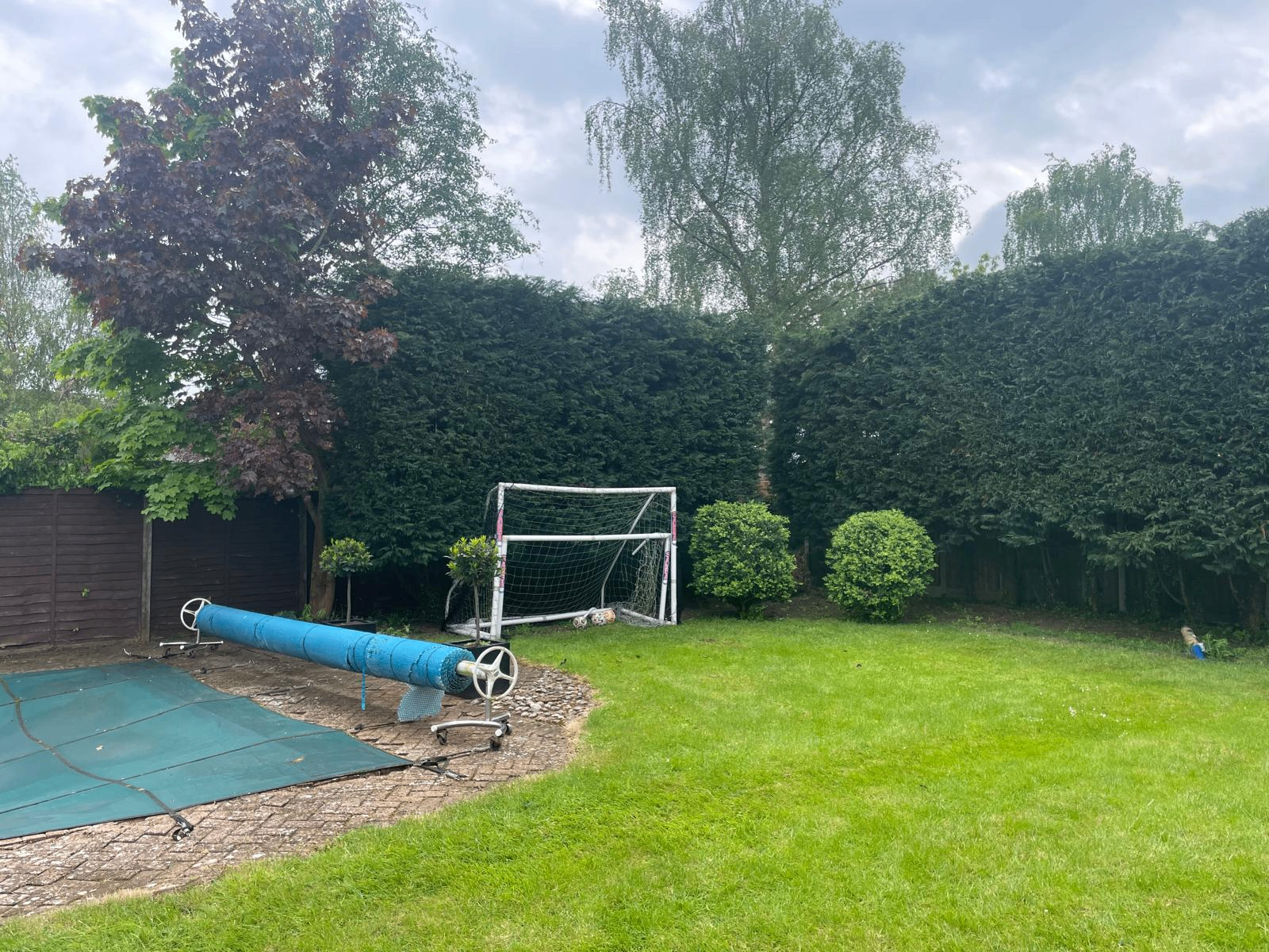 Before and after tree work — after