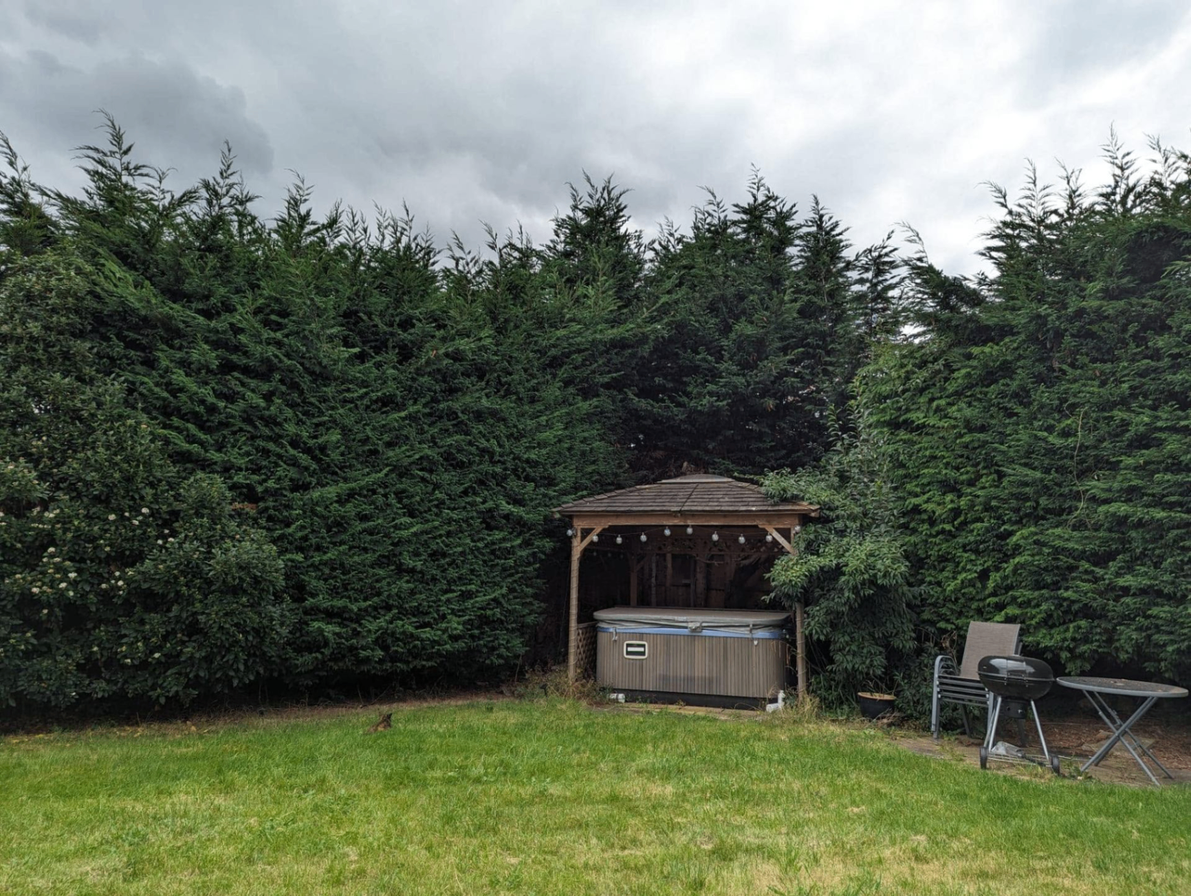 Before and after tree work — before