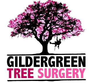 Gildergreen Tree Surgery