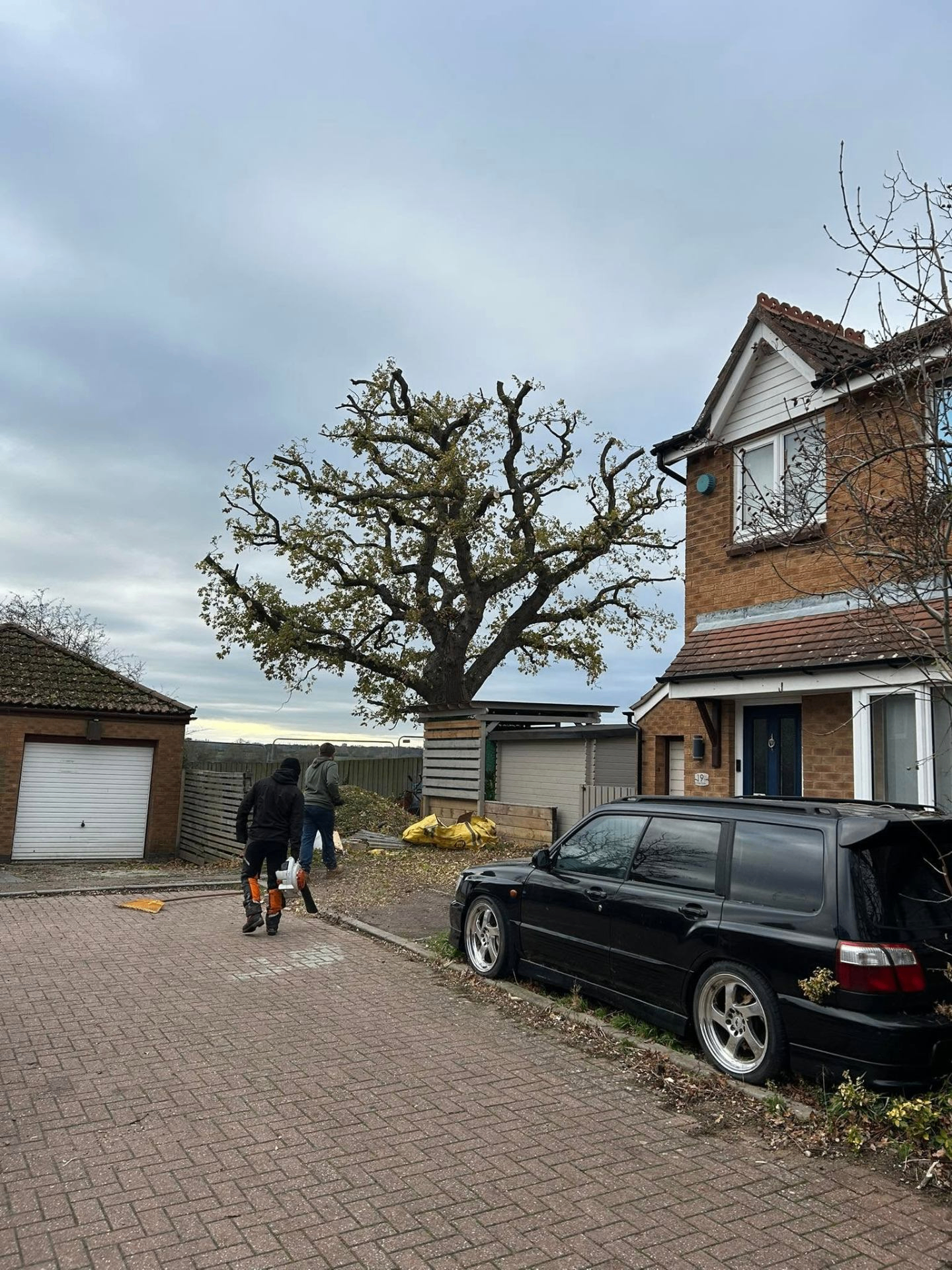Before and after tree work — after