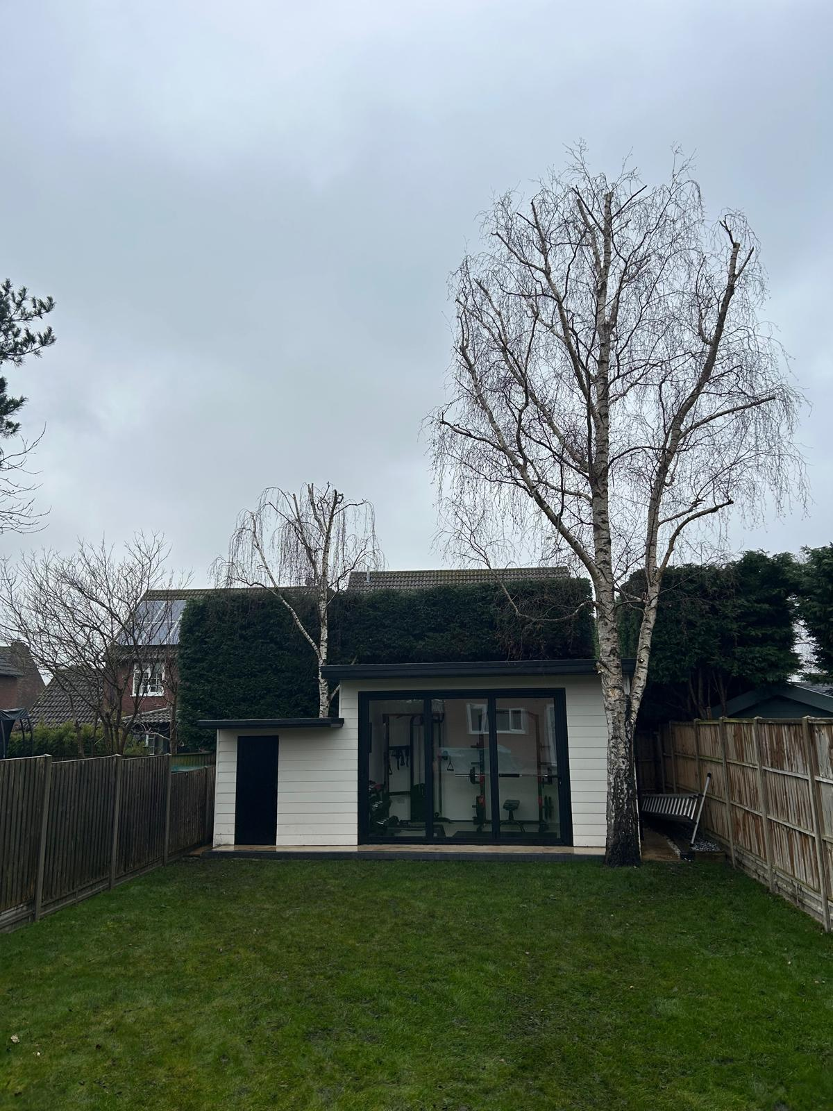 Before and after tree work — after