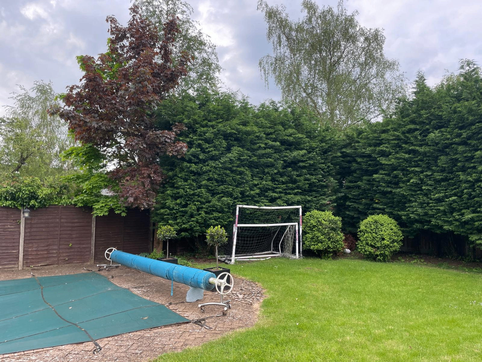 Before and after tree work — before