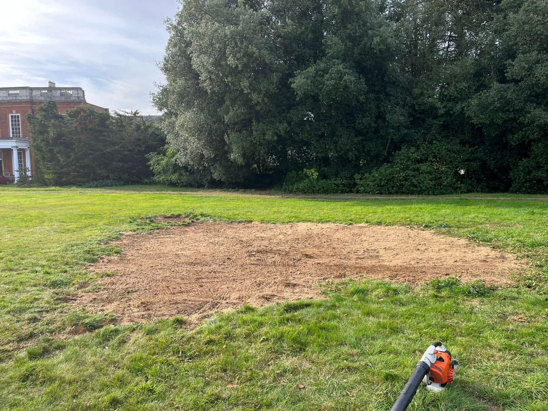 Before and after tree work — after